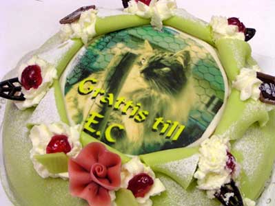 A lovely EC-cake to a lovely EC-cat!