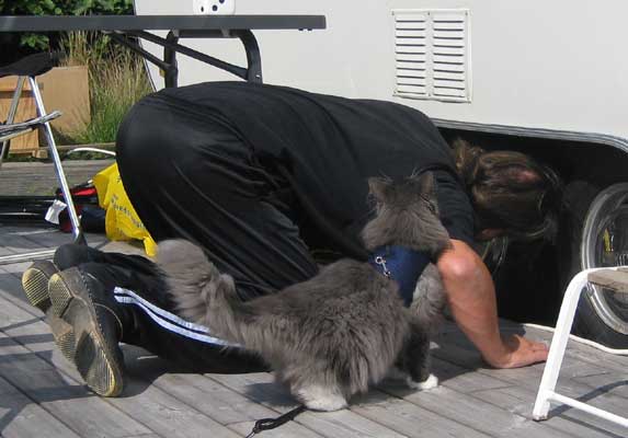 Cheva and dad checks out the caravan!