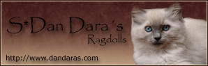 S*Dan Daras Ragdoll